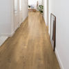 Planchers 1867 (54022940) room_scene