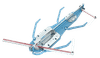Sigma (3E4M)