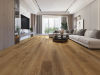 Biyork (BYKNOU7BEEOFG) room_scene