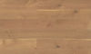 Fuzion (CGSQSN84165JAS119) color