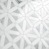 MSI Surfaces (SMOT-BIANDOL-GEOP) product
