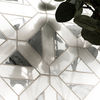 MSI Surfaces (SMOT-BIANDOL-GEOP) room_scene